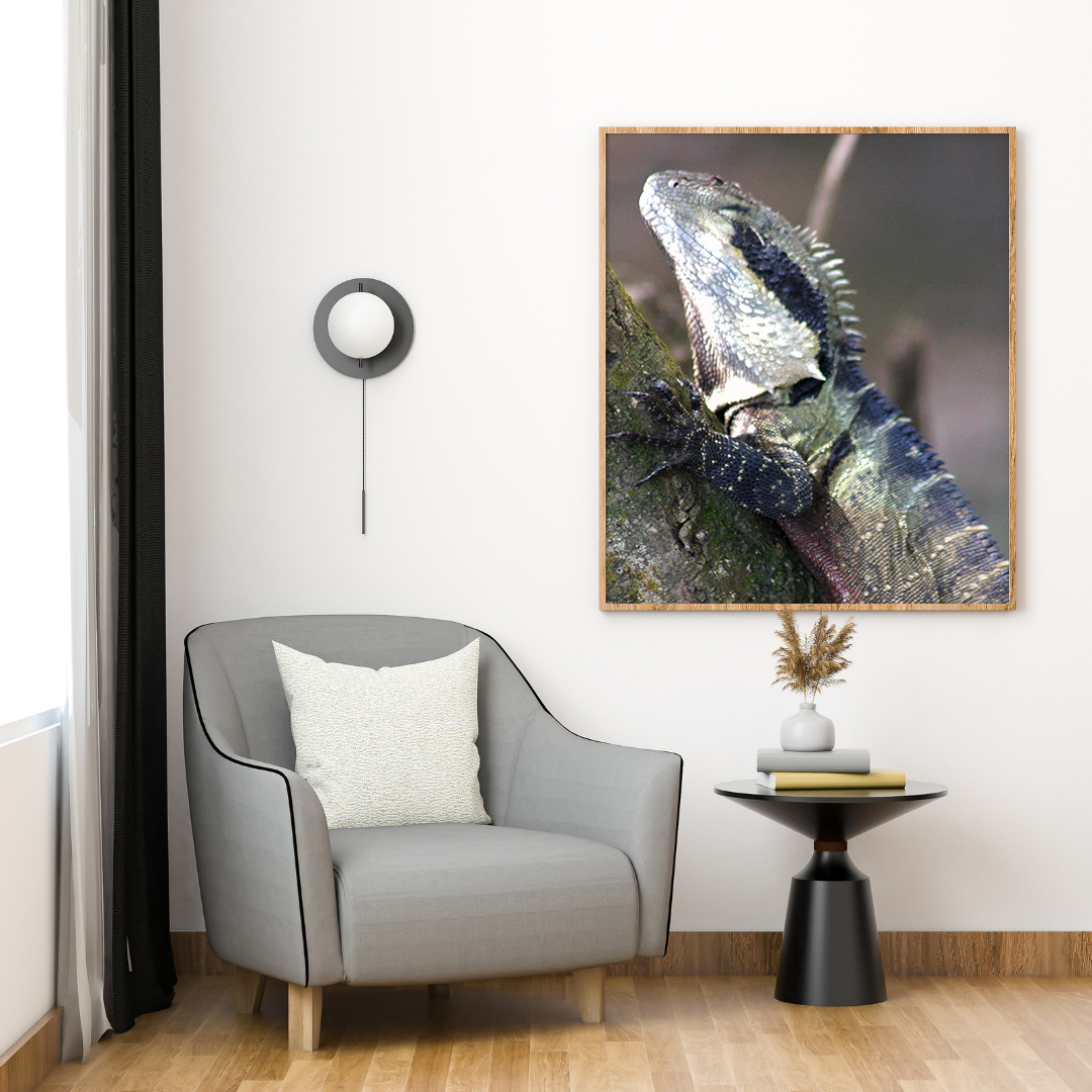 Eastern Water Dragon on a tree original abstract contextualised office art modern decor photo print by Blair Montague Drake